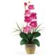 Vibrant Single Stem Phalaenopsis Silk Orchid Arrangement