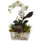 Beautiful Orchid and Succulent Garden w-White Wash Planter