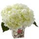 Beautiful Hydrangea with Floral Planter