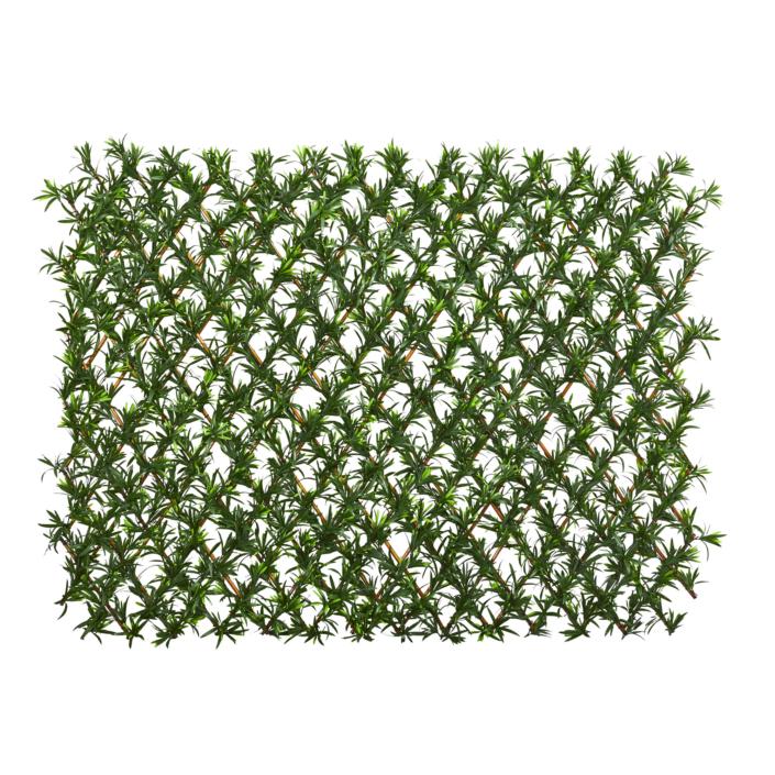 Accessories,statues,furniture,baskets,fruit,wall mats