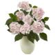 Stunning Hydrangea with White Planter