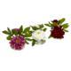 Beautiful Peony w-Glass Vase (Set of 3)