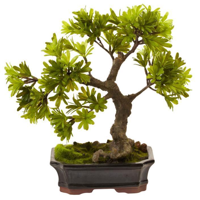 Accessories,statues,furniture,baskets,fruit,wall mats
