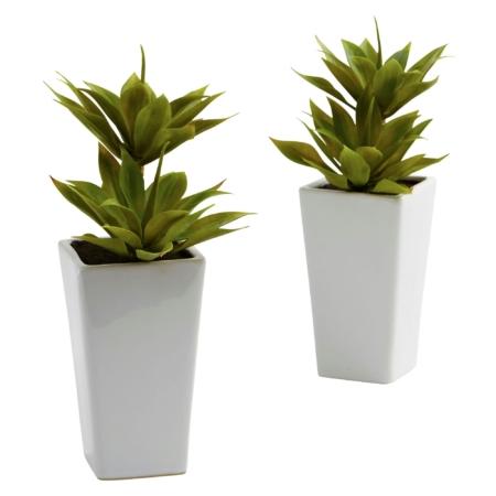 Double Mini Agave w-Planter (Set of 2)