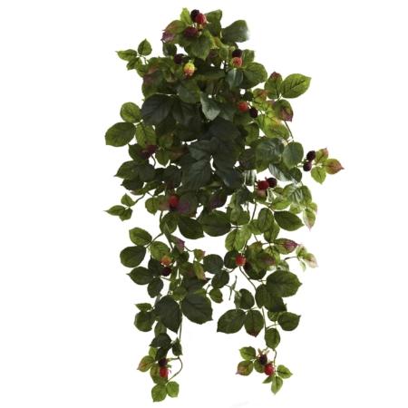 Captivating Raspberry Hanging Bush with Berry (Set of 2)