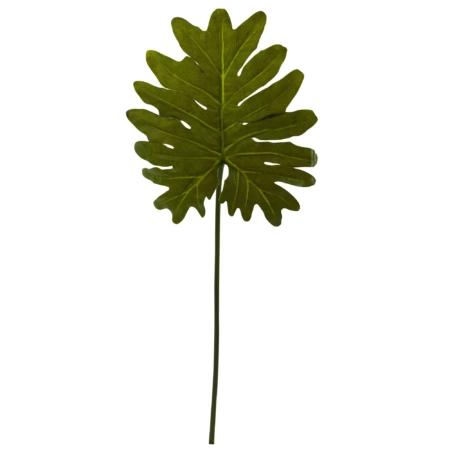 Dazzling Selloum Philo Single Leaf Stem (Set of 12)