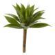 Captivating 32" Agave Plant w-Stem