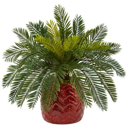 Stunning Cycas in Red Ceramic Planter