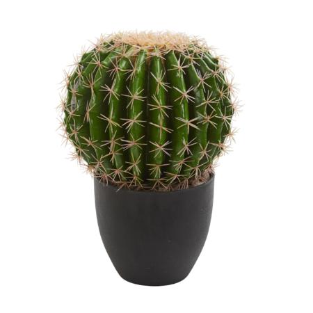 Beautiful Cactus Artificial Plant