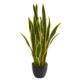 Gorgeous 26" Sansevieria Artificial Plant