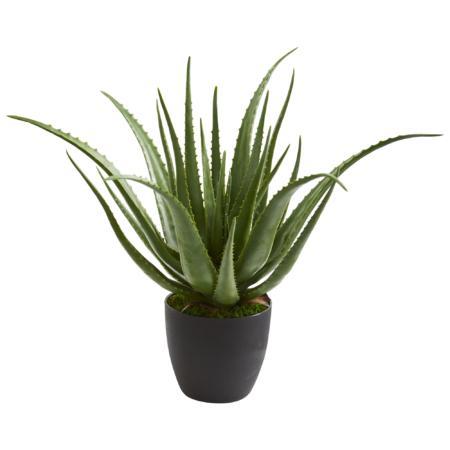 Stunning Aloe Artificial Plant