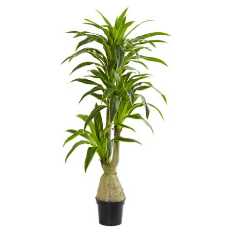 Beautiful Dracaena Artificial Plant