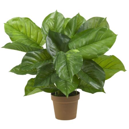 Beautiful Large Leaf Philodendron Silk Plant (Real Touch)