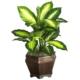 Captivating Golden Dieffenbachia w-Wood Vase Silk Plant