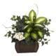 Stunning African Violet, Dieffenbachia and Ivy w-Chest Silk Plant