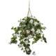 Exquisite Bougainvillea Hanging Basket