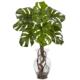 Beautiful Monstera Plant with Vase