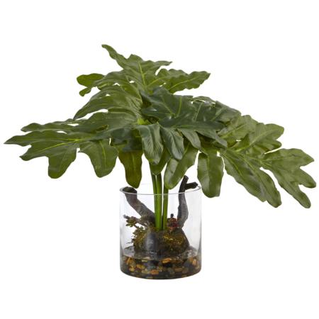 Dazzling Philodendron Arrangement with Vase