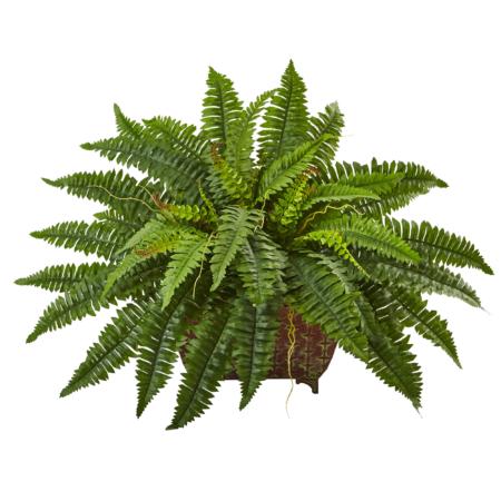 Dazzling Boston Fern in Metallic Planter