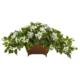 Beautiful Bougainvillea in Metal Planter