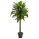 Stunning 45" Dracaena Artificial Plant