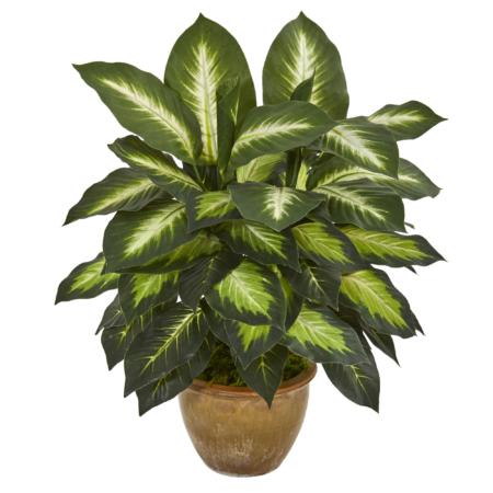 Captivating Dieffenbachia Artificial Plant in Ceramic Planter