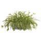 Stunning Spider Plant Artificial Plant in Stone Planter