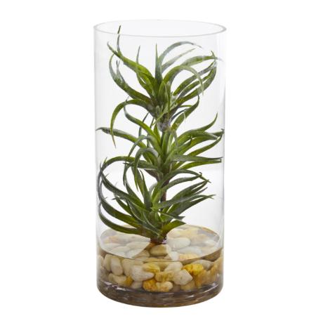 Beautiful Air Plant Artificial Succulent in Glass Vase