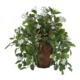 Stunning Stephanotis and Ivy Artificial Plant in Decorative Planter