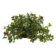 Exquisite Raspberry Artificial Plant in Decorative Planter