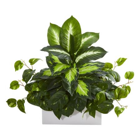 Dazzling Golden Dieffenbachia and Pothos Artificial Plant