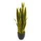 Captivating 33" Sansevieria Artificial Plant