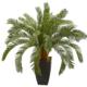 Beautiful 30" Cycas Artificial Plant