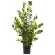 Stunning 4' Zamioculcas Artificial Plant