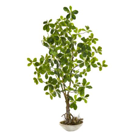 Beautiful 4' Schefflera Bonsai Artificial Plant in Planter