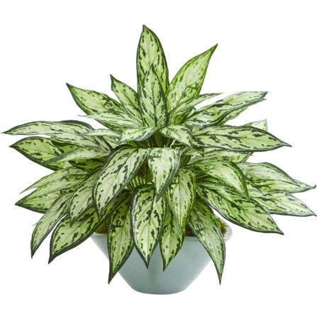 Captivating Silver Queen Artificial Plant in Green Vase