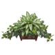 Dazzling Silver Queen and Ivy Artificial Plant in Decorative Planter