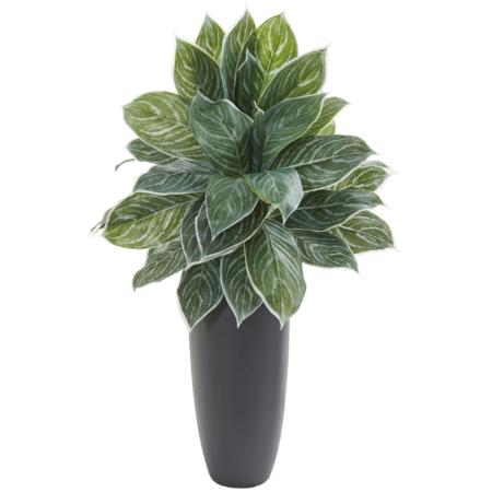 Dazzling 37" Aglaonema Artificial Plant in Planter (Real Touch)