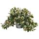 Beautiful Hoya Artificial Plant in Vintage Hanging Metal Planter