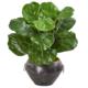 Beautiful 22" Fiddle Leaf Artificial Plant in Decorative Planter