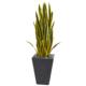 Dazzling 3.5' Sansevieria Artificial Plant in Slate Planter