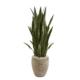 Captivating 3.5' Sansevieria Artificial Plant in Sand Colored Planter