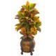 Radiant 44" Croton Artificial Plant in Decorative Planter (Real Touch)