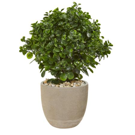 Stunning 30" Peperomia Artificial Plant in Sand Stone Planter UV Resistant (Indoor-Outdoor)