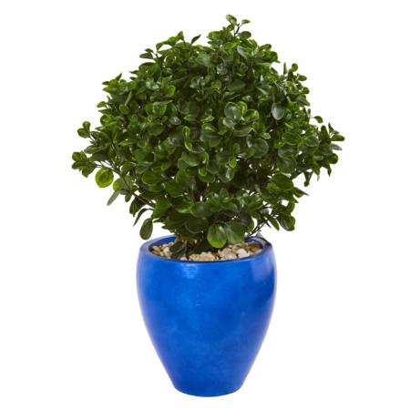 Beautiful 32" Peperomia Artificial Plant in Blue Planter UV Resistant (Indoor-Outdoor)