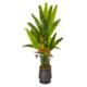 Beautiful 62" Bird of Paradise Artificial Plant in Decorative Planter