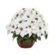 Captivating Poinsettia Artificial Arrangement in Decorative Planter