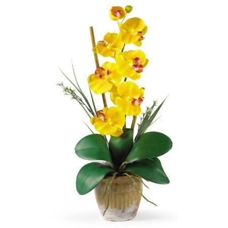 Radiant Single Stem Phalaenopsis Silk Orchid Arrangement