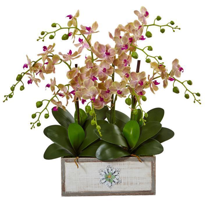 Exquisite Phalaenopsis Orchid Arrangement in Decorative Wood Vase