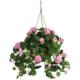 Beautiful Geranium Hanging Basket Silk Plant